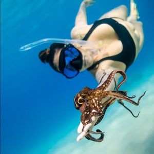 Meet your Posher, Bree